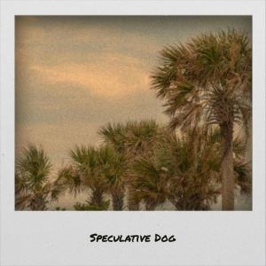 Listen to Speculative Dog song with lyrics from Bich Aino