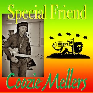 收聽Coozie Mellers的Special Friend歌詞歌曲