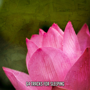 Serenity Spa Music Relaxation的專輯64 Tracks For Sleeping