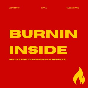 ดาวน์โหลดและฟังเพลง Burnin Inside (Alex Rules Remix) พร้อมเนื้อเพลงจาก Ciava