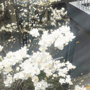 Listen to 冬季恋歌 song with lyrics from Die44