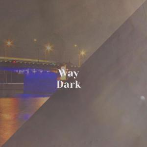 Album Way Dark from Various