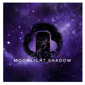 Viel Library的专辑Moonlight Shadow