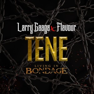ดาวน์โหลดและฟังเพลง Tene: Living In Bondage พร้อมเนื้อเพลงจาก Larry Gaaga