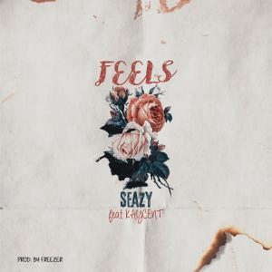 ดาวน์โหลดและฟังเพลง Feels (feat. Kaycent) พร้อมเนื้อเพลงจาก Seazy