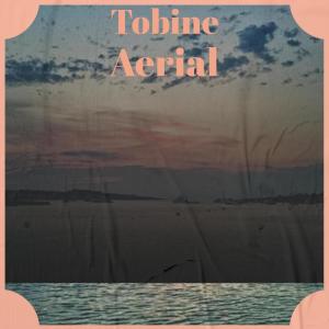 Listen to Tobine Aerial song with lyrics from Cess Sani