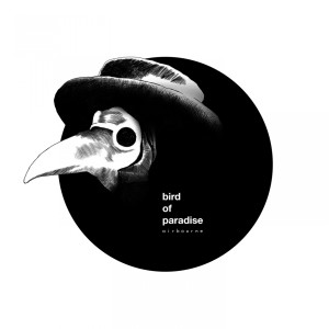 收听Bird of Paradise的Orchid歌词歌曲