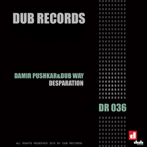 收听Damir Pushkar & B.Original的Desparation歌词歌曲