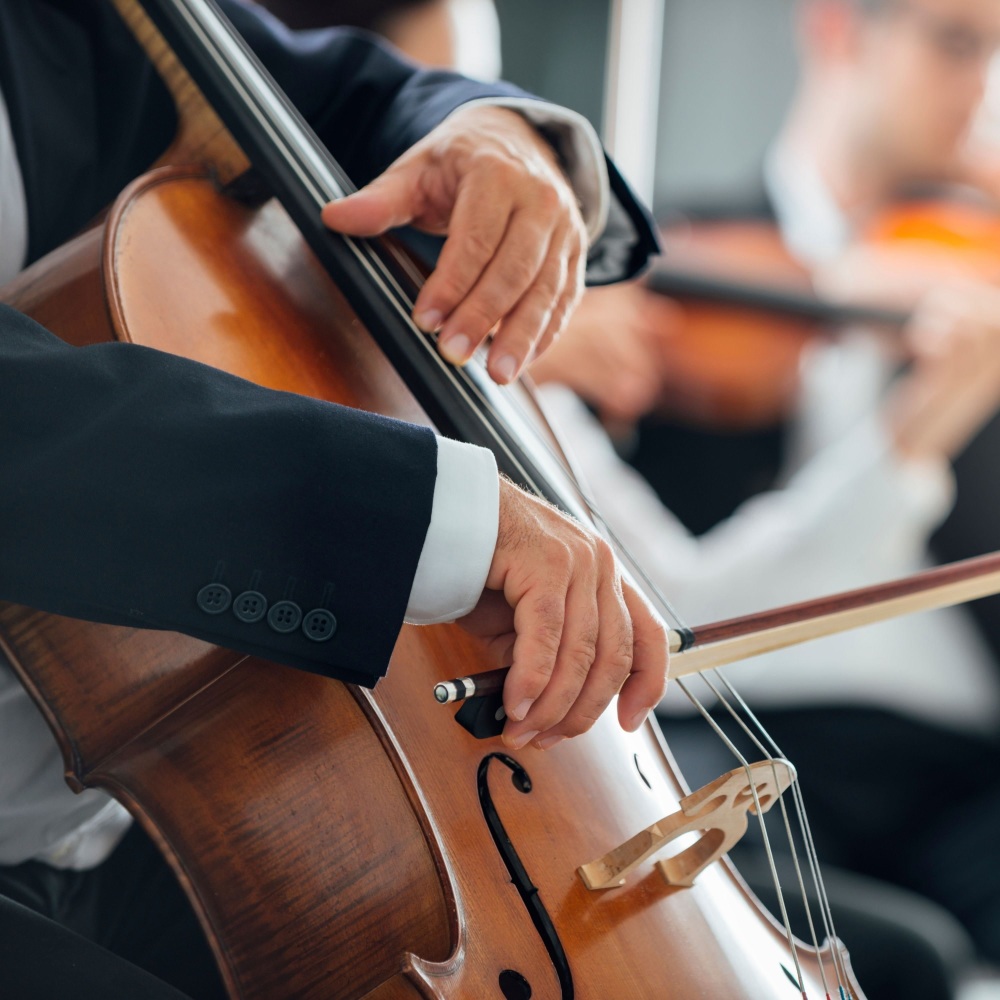 Orchestra of Meditation's Calm