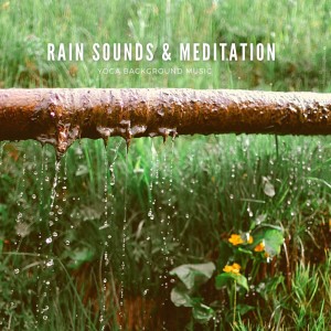 Meditation Nature Sounds的专辑Rain Sounds & Meditation