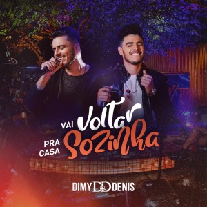ดาวน์โหลดและฟังเพลง Vai Voltar Pra Casa Sozinha พร้อมเนื้อเพลงจาก Dimy e Denis