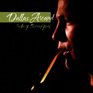 ดาวน์โหลดและฟังเพลง Picking Sweetgrass พร้อมเนื้อเพลงจาก Dallas Arcand