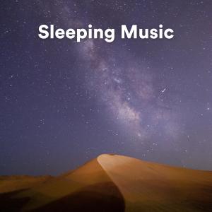 Catching Sleep的专辑Sleeping Music