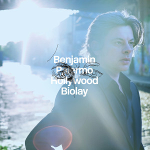 收聽Benjamin Biolay的Horse Song歌詞歌曲