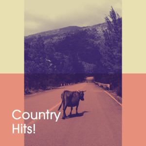 American Country Hits的專輯Country Hits!