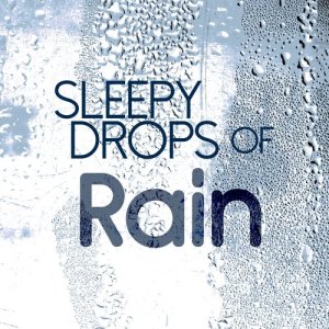 收聽Deep Sleep Rain Sounds的Raindrops歌詞歌曲