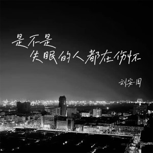 Album 是不是失眠的人都在伤怀 from 刘安周