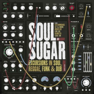 Soul Sugar的專輯Excursions in Soul Reggae Funk & Dub