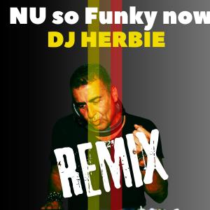 收聽DJ Herbie的NU so Funky now (remix)歌詞歌曲
