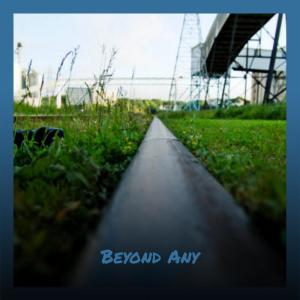 Album Beyond Any from Various