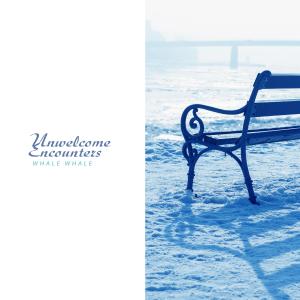 ดาวน์โหลดและฟังเพลง Unwelcome Encounters พร้อมเนื้อเพลงจาก 흰수염고래