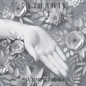 Listen to Say The Truth song with lyrics from Max Benderz