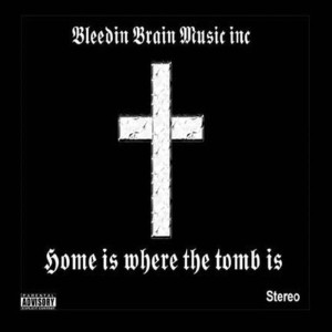 ดาวน์โหลดและฟังเพลง Queer (Explicit) พร้อมเนื้อเพลงจาก Bleedin Brain Music Inc