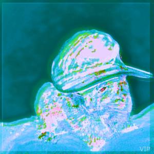 收聽PacMon的the drop you need (before i leave) (feat. Noah Gazmen) (Monsey Remix|Explicit)歌詞歌曲