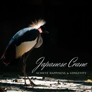 Japanese Crane (Achieve Happiness & Longevity)
