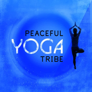 收聽Yoga Tribe的Mysticism歌詞歌曲