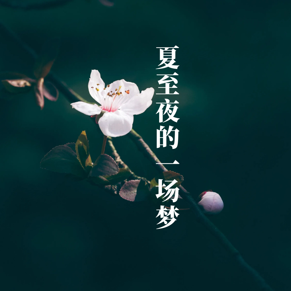 夏至夜的一场梦 (伴奏)