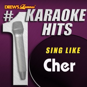 ดาวน์โหลดและฟังเพลง Shoop Shoop Song (As Made Famous By Cher) พร้อมเนื้อเพลงจาก The Karaoke Crew