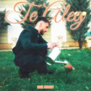 Listen to Te aleg song with lyrics from Omar Arnaout