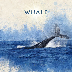 收聽Midnight Rain的Whale歌詞歌曲