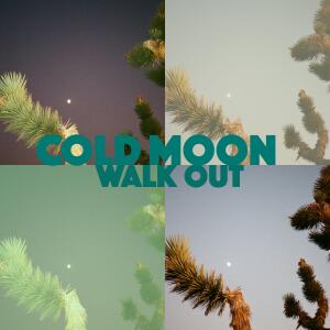 ดาวน์โหลดและฟังเพลง Walk Out (Explicit) พร้อมเนื้อเพลงจาก Cold Moon
