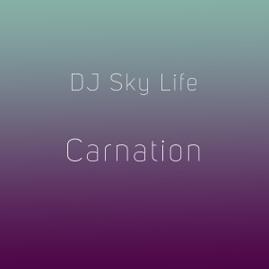 收听DJ Sky Life的Carnation歌词歌曲