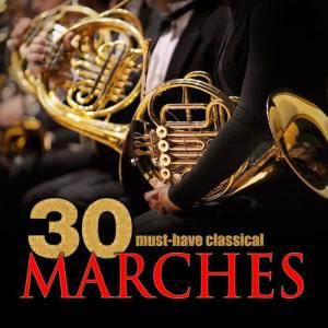 ดาวน์โหลดและฟังเพลง Three Military Marches, Op. 51, D. 733: I. Allegro Vivace in D Major พร้อมเนื้อเพลงจาก Budapest Strings