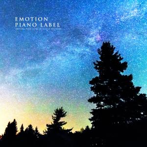 อัลบัม Emotional Piano Filling The Night Of Meditation ศิลปิน Various Artists