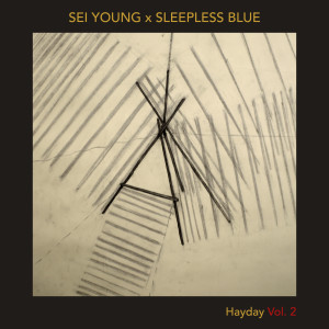 Listen to Keys to the Kite song with lyrics from Sei Young