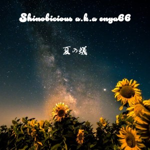 Album Summer ants from Shinobicious a.k.a enya66