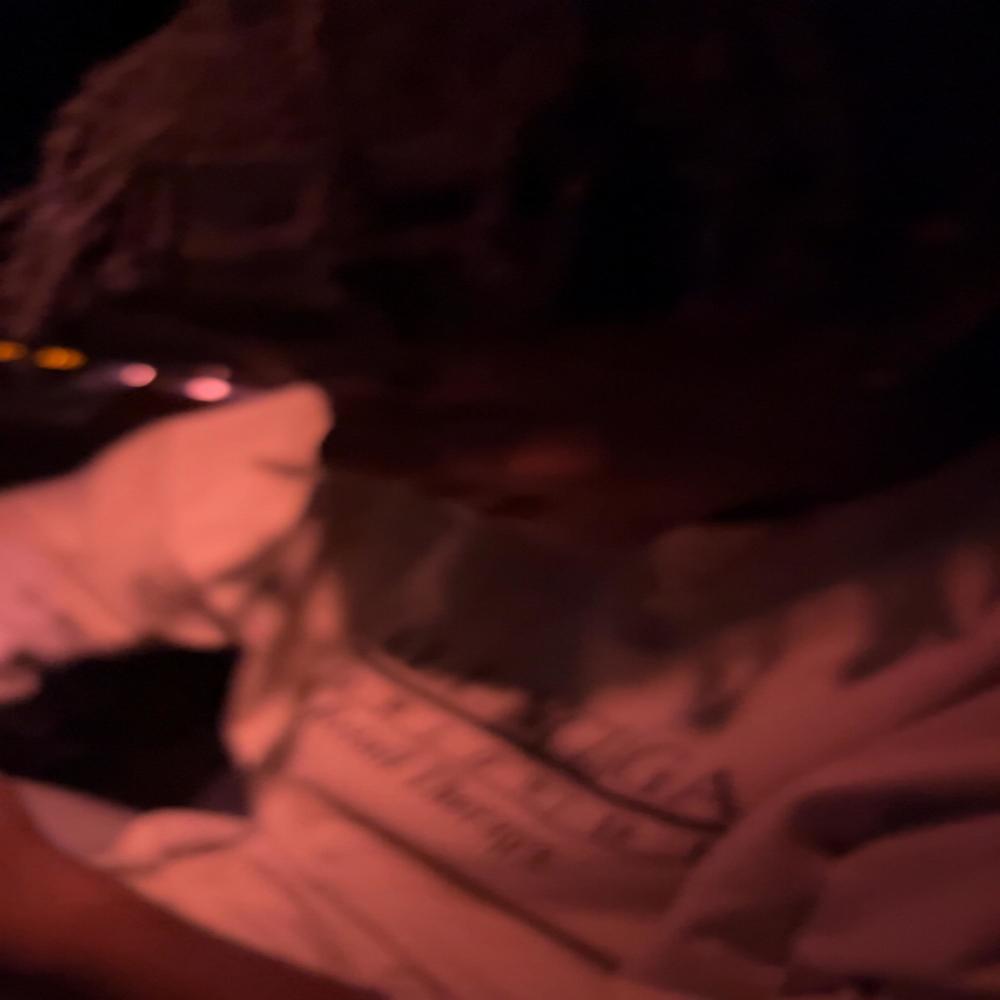 Stolen (okpablo) (Explicit)