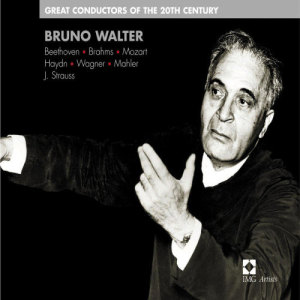 Bruno Walter的專輯Bruno Walter :Great Conductors of the 20th Century