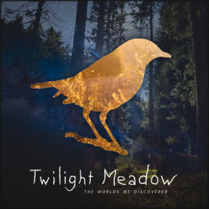 ดาวน์โหลดและฟังเพลง Never Ever Ever พร้อมเนื้อเพลงจาก Twilight Meadow