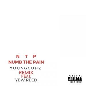 Album NTP (feat. YBW Reed) (Remix) (Explicit) from YoungCuhz