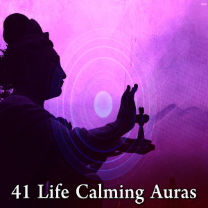 ดาวน์โหลดและฟังเพลง Stress Free พร้อมเนื้อเพลงจาก Japanese Relaxation and Meditation