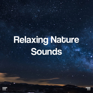 Nature Sounds Nature Music的專輯"!!! Relaxing Nature Sounds !!!"