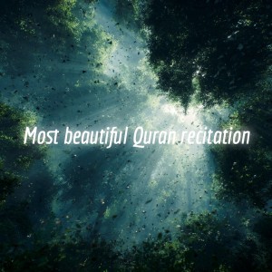 Album Most beautiful Quran recitation from القرآن