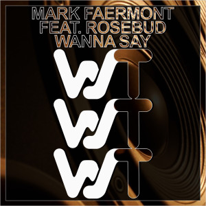 Mark Faermont的专辑Wanna Say