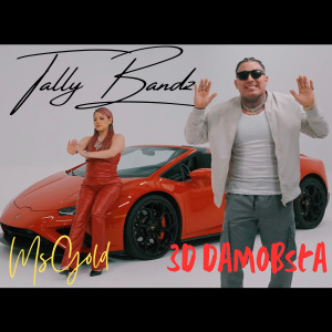 Listen to TallyBandz (Explicit) song with lyrics from 3D DaMobsta
