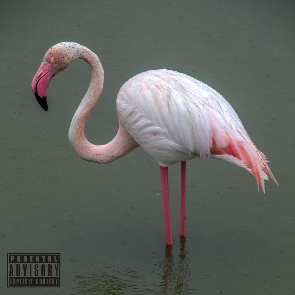 SANTORINI (feat. Amo Socialec) (Explicit)